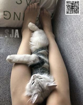 美艳yⅰn荡斗纲手好紧_高清免费在线播放